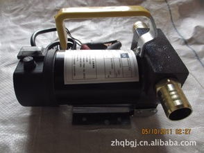 車載220v便攜銅芯電機(jī)抽油泵 廠家直銷